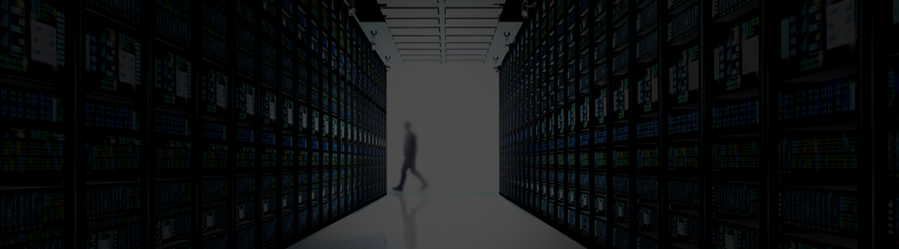 Insights Banner