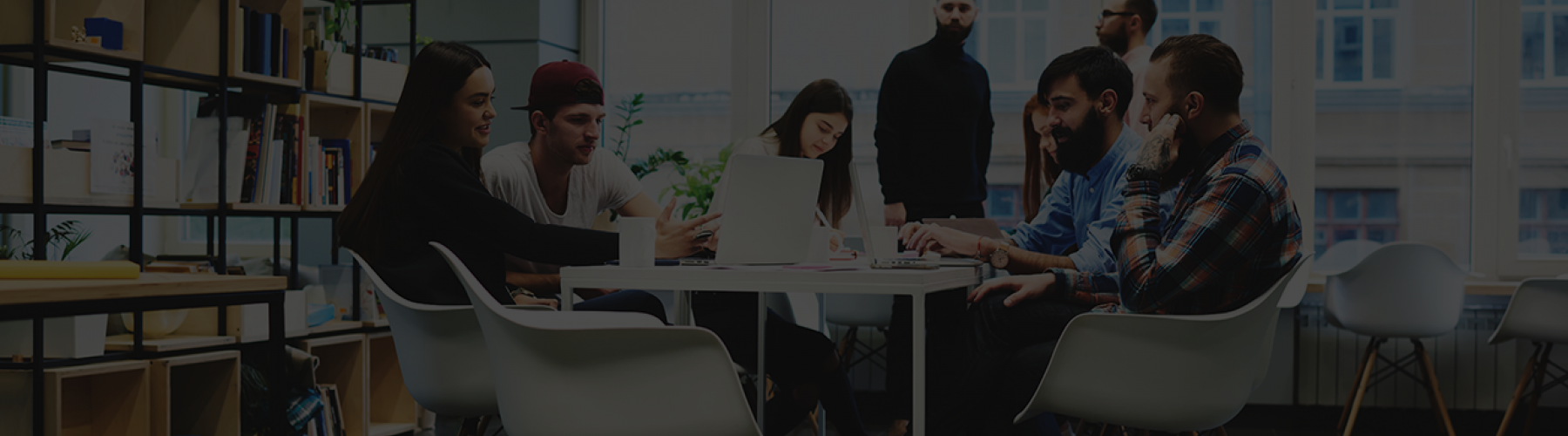 Insights Banner